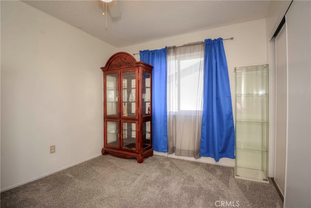 carpeted spare room with ceiling fan and a textured ceiling