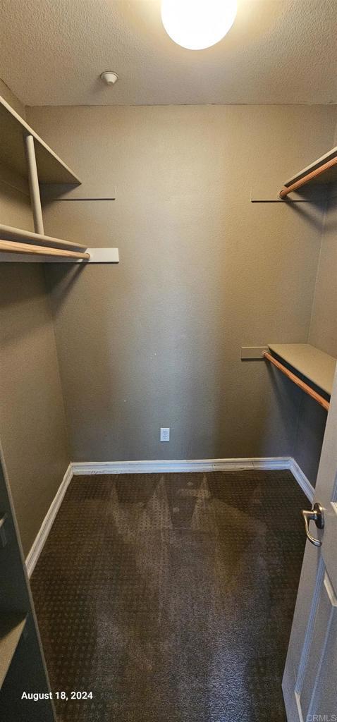 spacious closet featuring carpet