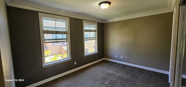 carpeted spare room featuring ornamental molding