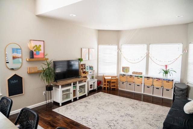 living room featuring dark wood-type flooring