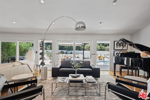 living room with hardwood / wood-style flooring