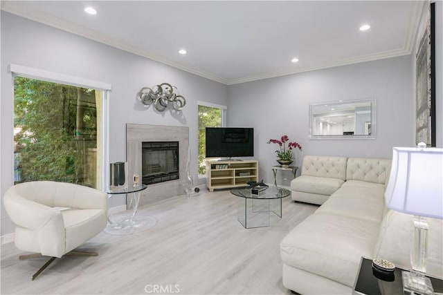 living room featuring light hardwood / wood-style floors and ornamental molding