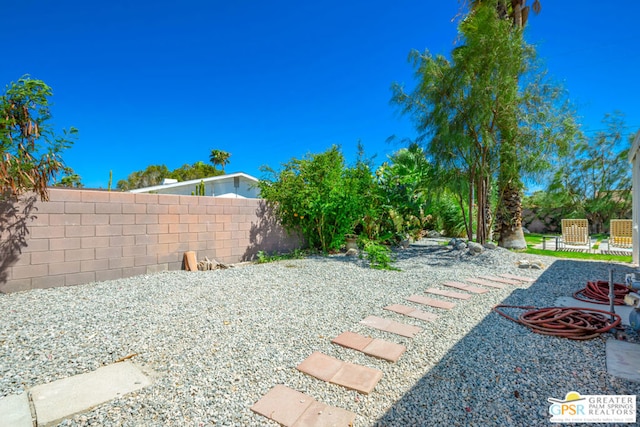 view of yard with a patio area