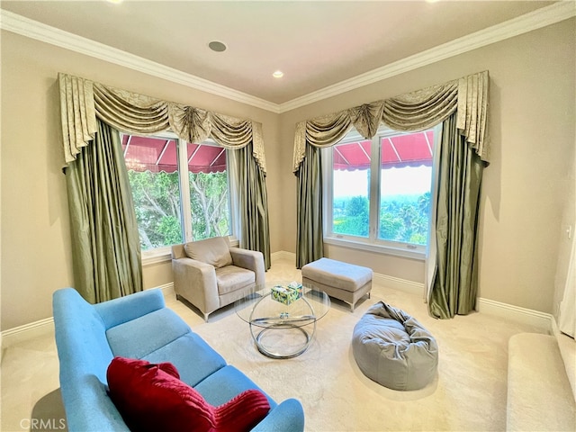 living area featuring crown molding and light colored carpet