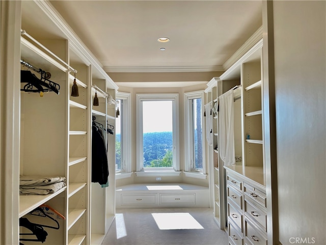 spacious closet with light carpet