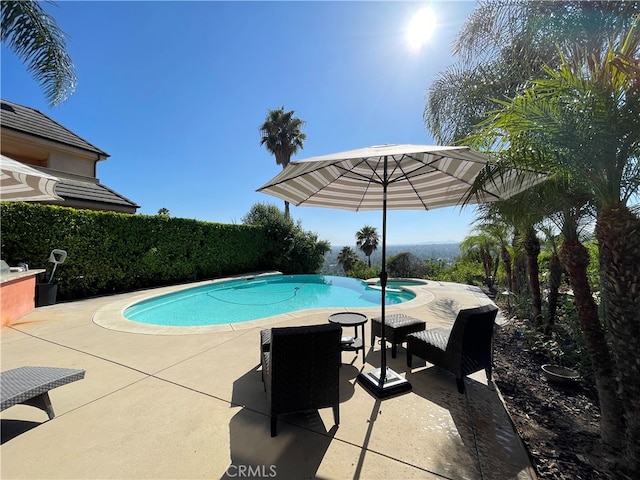 view of pool with a patio