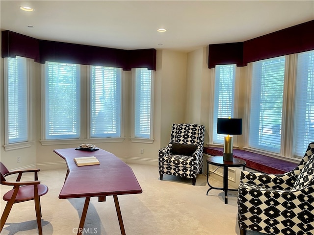 sitting room featuring light carpet