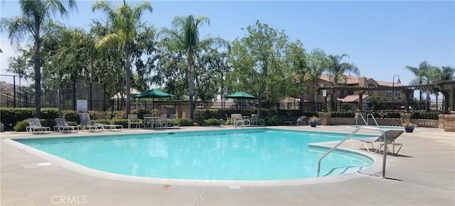 view of pool featuring a patio