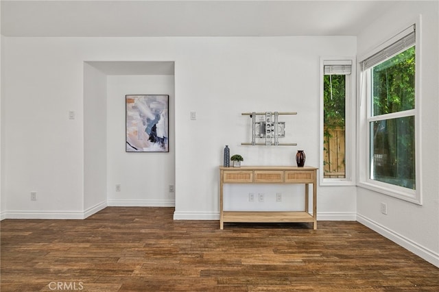 interior space with dark hardwood / wood-style flooring