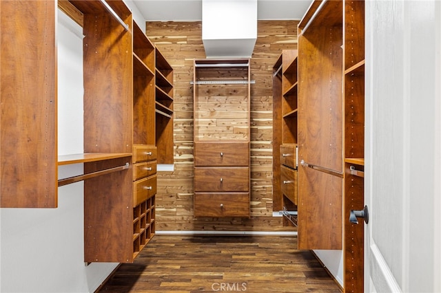 walk in closet featuring dark hardwood / wood-style flooring