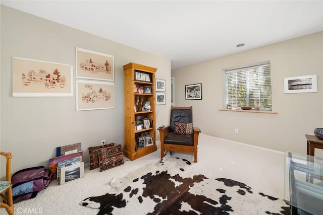 sitting room with carpet floors