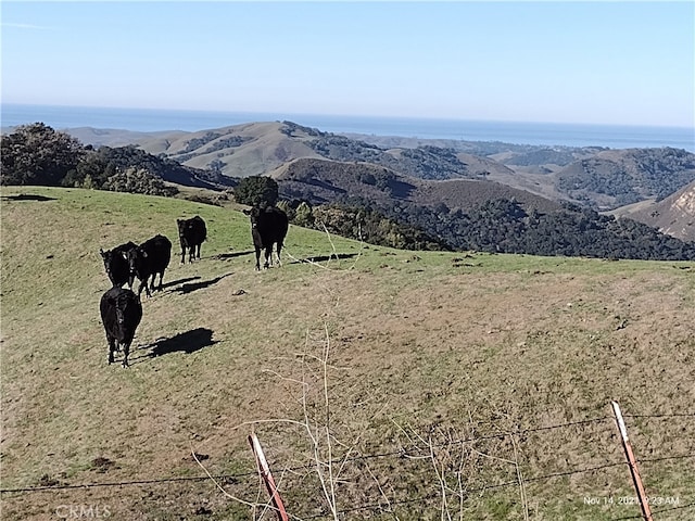 9500 Santa Rosa Creek Rd, Templeton, CA 93465 - photo 11