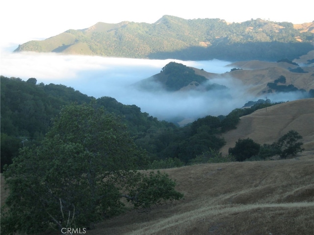 9500 Santa Rosa Creek Rd, Templeton, CA 93465 - photo 20