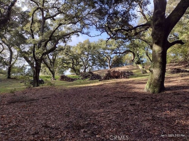 9500 Santa Rosa Creek Rd, Templeton, CA 93465 - photo 10