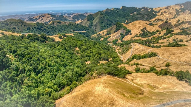 9500 Santa Rosa Creek Rd, Templeton, CA 93465 - photo 8