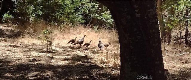 9500 Santa Rosa Creek Rd, Templeton, CA 93465 - photo 17