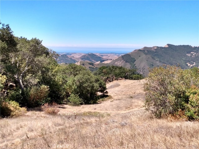 9500 Santa Rosa Creek Rd, Templeton, CA 93465 - photo 5