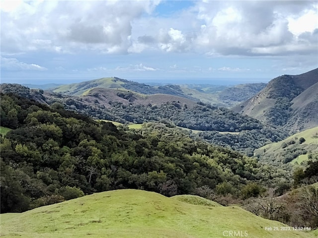 9500 Santa Rosa Creek Rd, Templeton, CA 93465 - photo 19