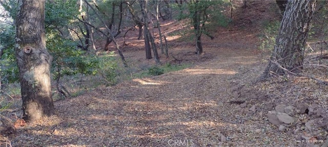 9500 Santa Rosa Creek Rd, Templeton, CA 93465 - photo 2