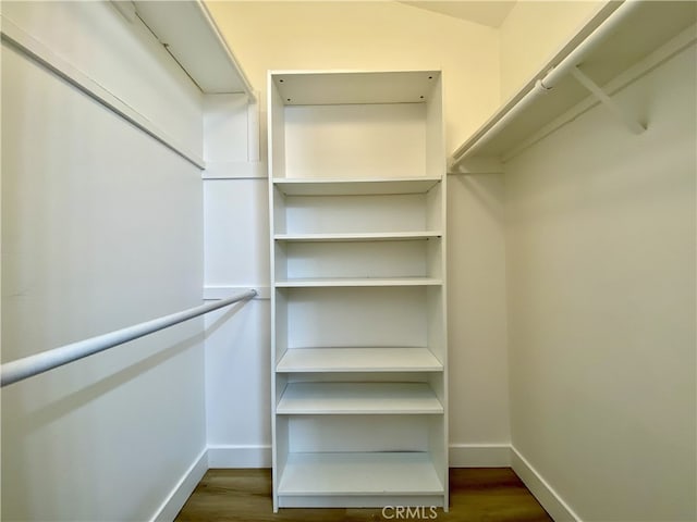 walk in closet with hardwood / wood-style floors