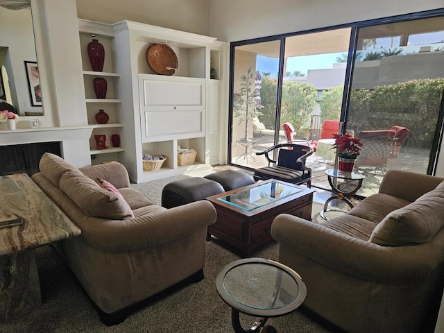 living room featuring carpet and built in features