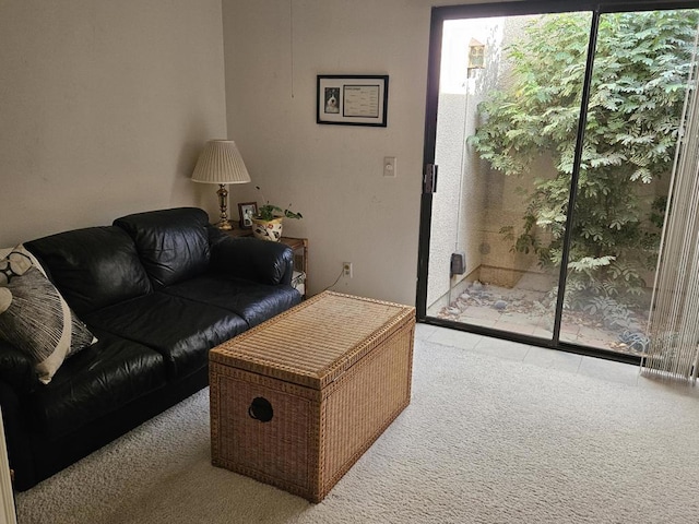 view of carpeted living room