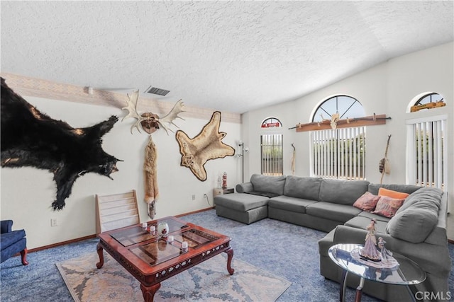 carpeted living room with lofted ceiling and a textured ceiling