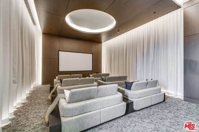 view of carpeted home theater