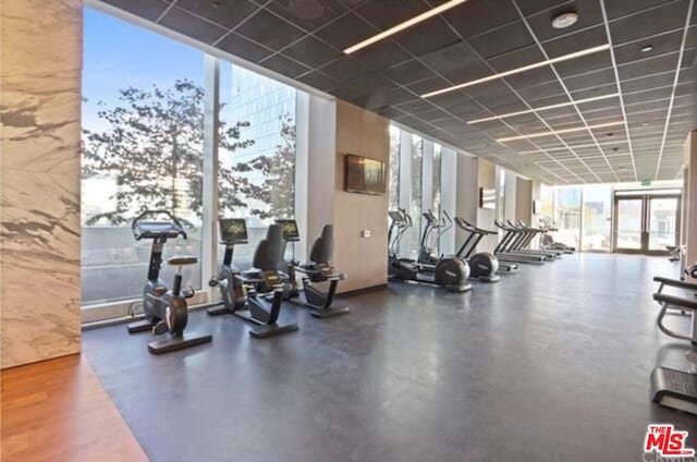 gym with floor to ceiling windows