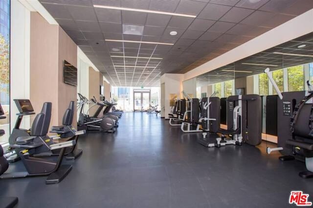 gym featuring a paneled ceiling and a wealth of natural light