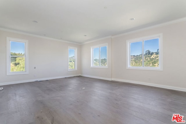 empty room featuring ornamental molding and wood-type flooring