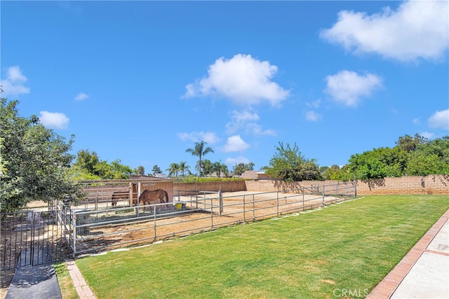 view of yard featuring a rural view