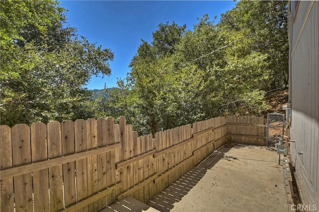 view of yard featuring a patio area