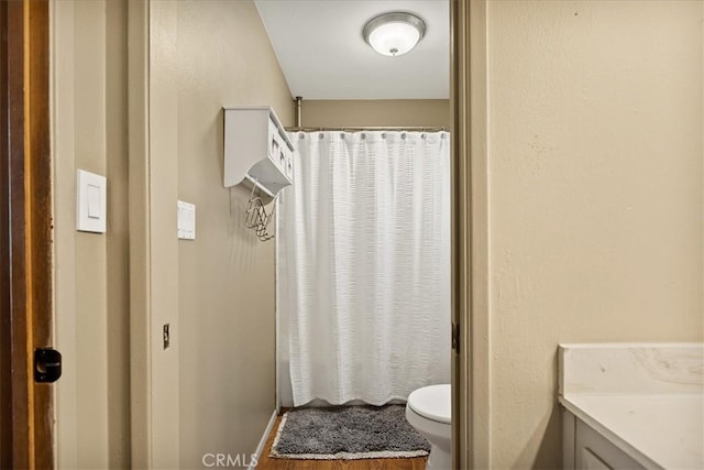 bathroom with vanity, wood-type flooring, a shower with curtain, and toilet