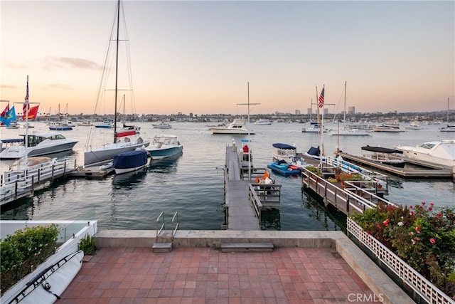 dock area with a water view