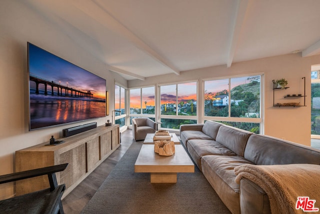 living room featuring dark hardwood / wood-style floors and beamed ceiling