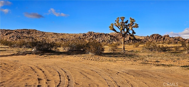 Listing photo 3 for 801 Adobe Mountain Rd, Near Adelanto CA 92301