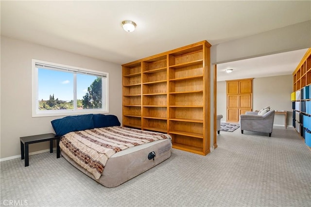 bedroom featuring carpet floors