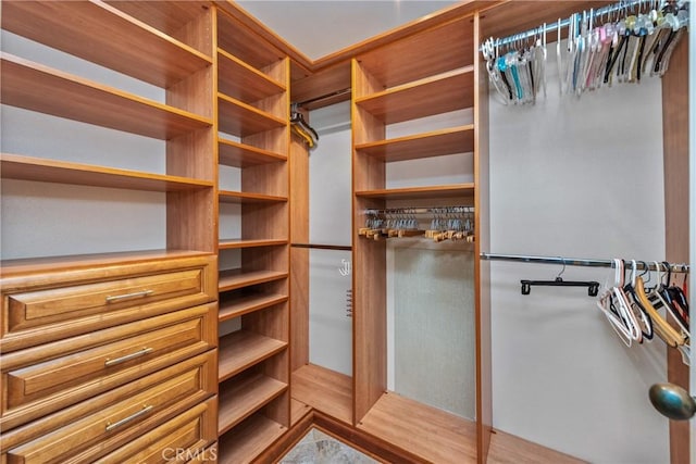 view of walk in closet