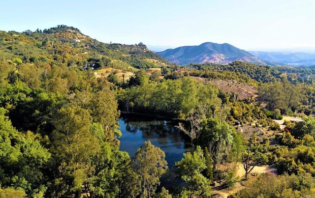 property view of mountains with a water view