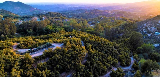 bird's eye view featuring a mountain view