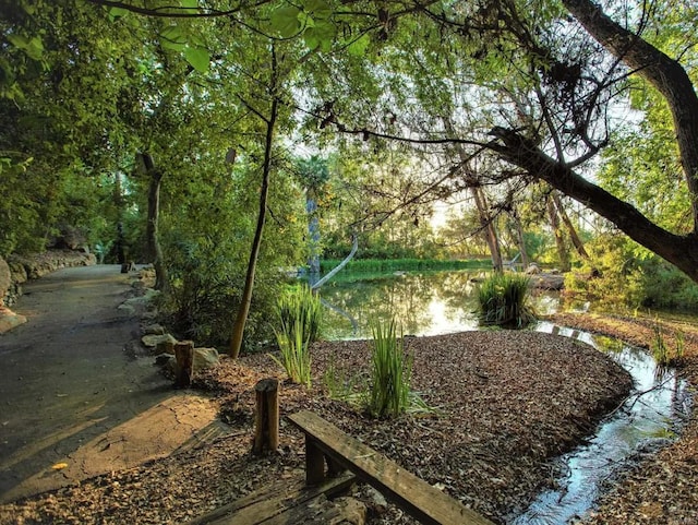 view of yard featuring a water view