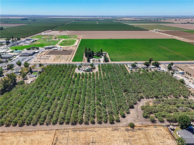 bird's eye view with a rural view