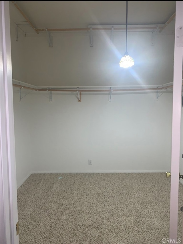 spacious closet with carpet