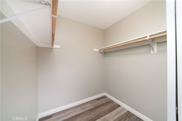 spacious closet featuring hardwood / wood-style floors