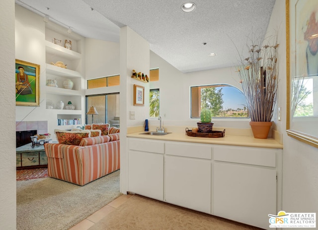 kitchen with a textured ceiling, a healthy amount of sunlight, sink, and light carpet