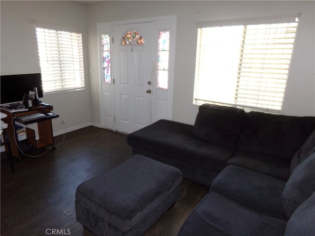 living room with dark wood-type flooring