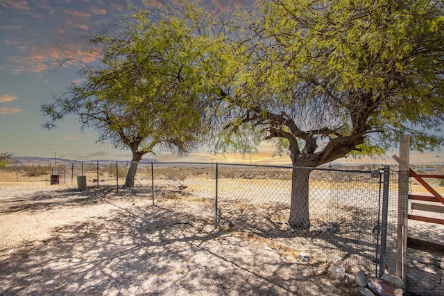 view of yard with a rural view