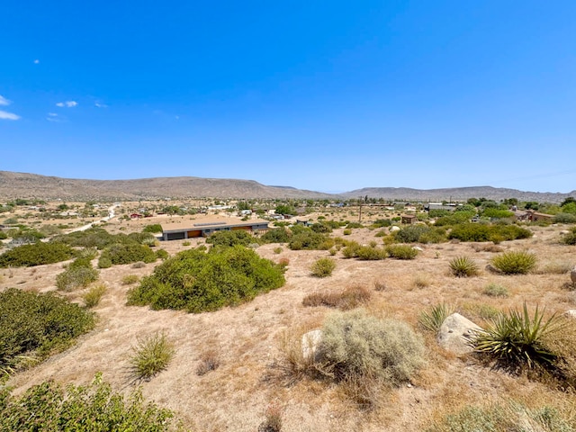 0 Minna Gombell Ln, Pioneertown CA, 92268 land for sale