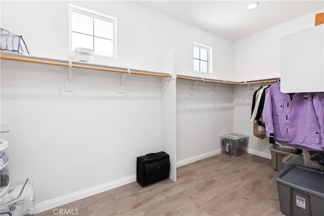 walk in closet featuring light hardwood / wood-style flooring